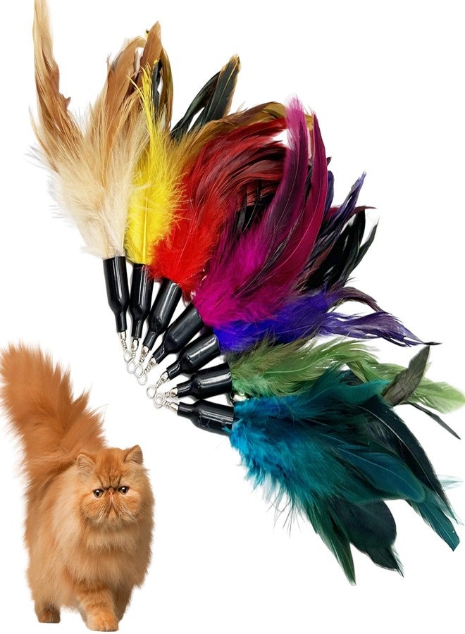CATENEED Cat Feather Toys Refill, 16 Pieces Cat Wand Replacement Feathers Toy for Indoor Cats - Image 5