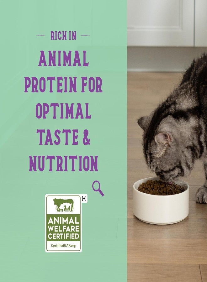 Open Farm Goodbowl, Protein Rich Dry Cat Food Made from Meticulously Sourced Simple Ingredients, Harvest Chicken & Brown Rice Recipe, 7lb Bag (112oz Bag) - Image 4