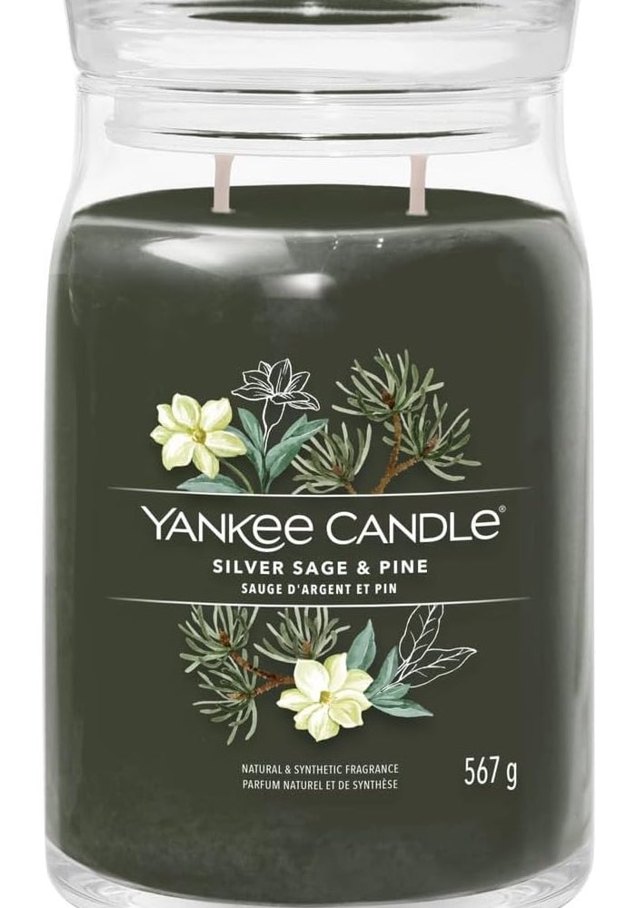 YANKEE CANDLE شمعة معطرة مميزة - 567 جرام | ل سيلفر سيج وصنوبر - شمعة مزدوجة الفتيل - Image 1