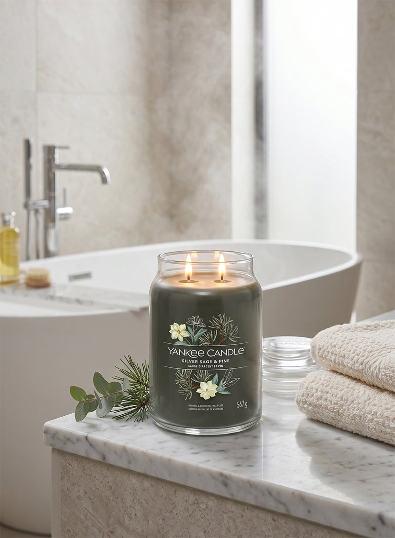YANKEE CANDLE شمعة معطرة مميزة - 567 جرام | ل سيلفر سيج وصنوبر - شمعة مزدوجة الفتيل - Image 4