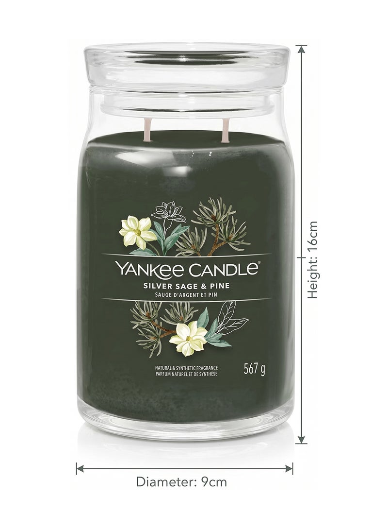 YANKEE CANDLE شمعة معطرة مميزة - 567 جرام | ل سيلفر سيج وصنوبر - شمعة مزدوجة الفتيل - Image 3