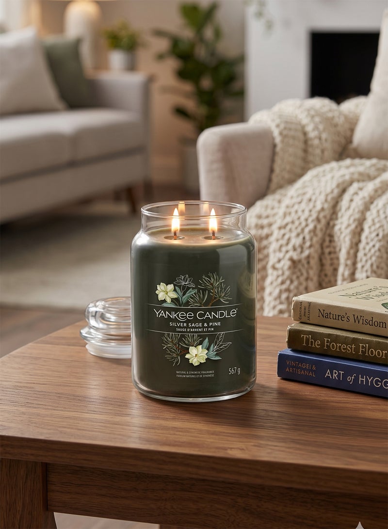 YANKEE CANDLE شمعة معطرة مميزة - 567 جرام | ل سيلفر سيج وصنوبر - شمعة مزدوجة الفتيل - Image 5