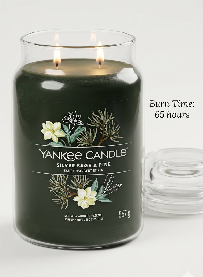 YANKEE CANDLE شمعة معطرة مميزة - 567 جرام | ل سيلفر سيج وصنوبر - شمعة مزدوجة الفتيل - Image 2