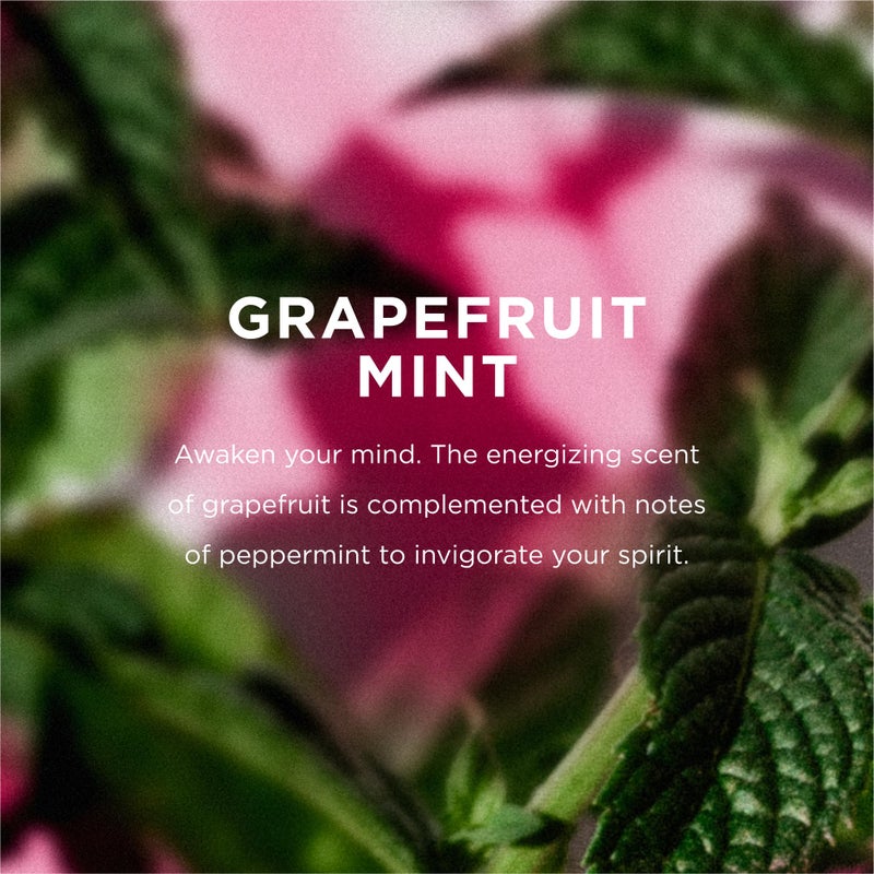 EO Shower Gel Body Wash Refill, 1 Gallon, Grapefruit and Mint, Organic Plant-Based Skin Conditioning Cleanser with Pure Essentials Oils, Pack of 1 - Image 4