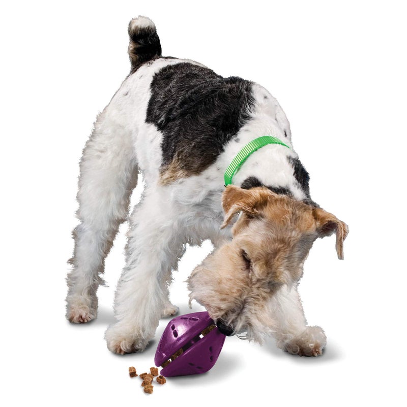 PetSafe Busy Buddy Twist 'n Treat Dispensing Dog Toy - Medium - Image 1