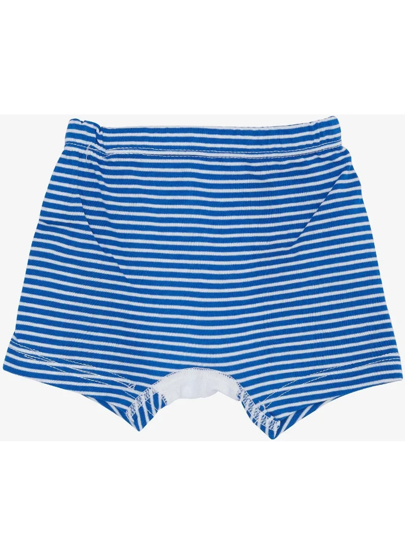 كاتامينو Boy Boxer Striped Mixed 1-3 Years, Mixed Color