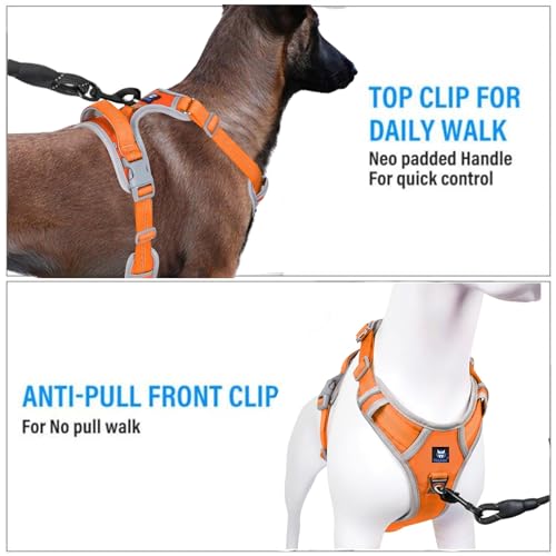 HANK Dog Harness | 3M Reflective Strap | Dog Body Vest for Medium Dogs | Soft Comfortable Padded | Anti Pull Harness for Walking, Training (Orange - Grey - M (14-22Kg) - Image 3
