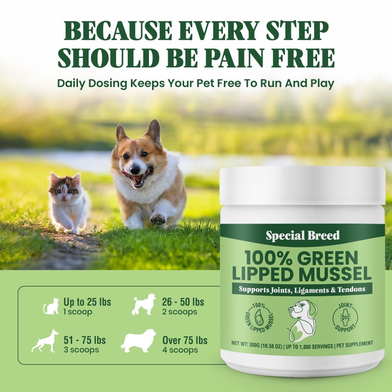 Special Breed Green Lipped Mussel Powder for Dogs & Cats - 100% New Zealand Green Lipped Mussels - Natural Hip & Joint Supplement for Joints, Tendons, Ligaments, Muscles - 300 Grams - Up to 1,000 Servings - Image 5