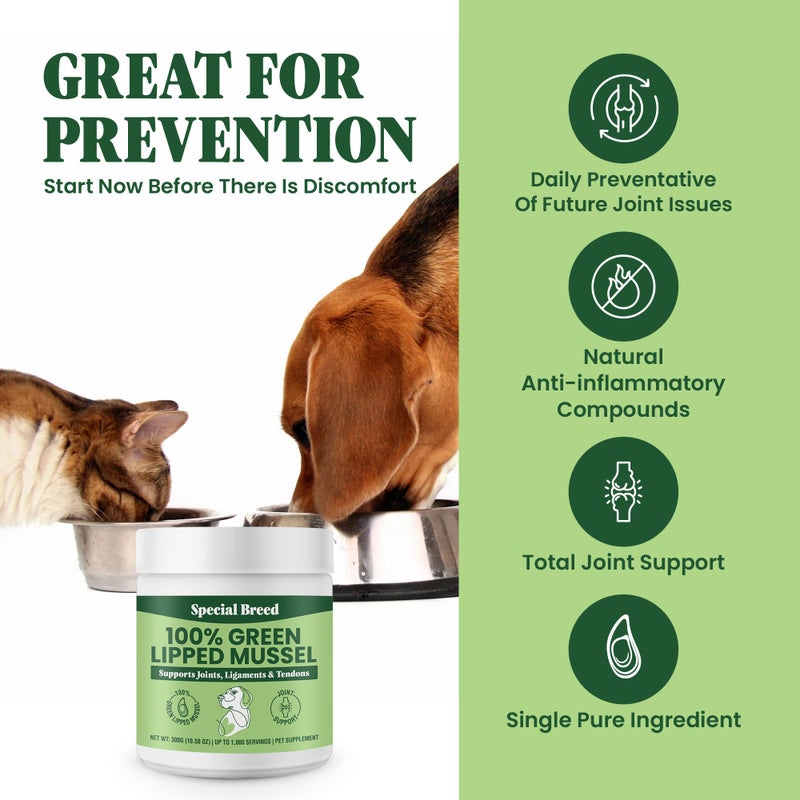 Special Breed Green Lipped Mussel Powder for Dogs & Cats - 100% New Zealand Green Lipped Mussels - Natural Hip & Joint Supplement for Joints, Tendons, Ligaments, Muscles - 300 Grams - Up to 1,000 Servings - Image 3