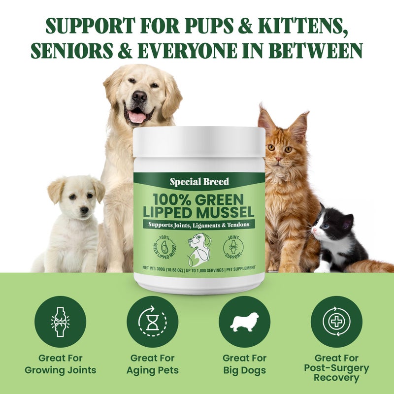 Special Breed Green Lipped Mussel Powder for Dogs & Cats - 100% New Zealand Green Lipped Mussels - Natural Hip & Joint Supplement for Joints, Tendons, Ligaments, Muscles - 300 Grams - Up to 1,000 Servings - Image 4