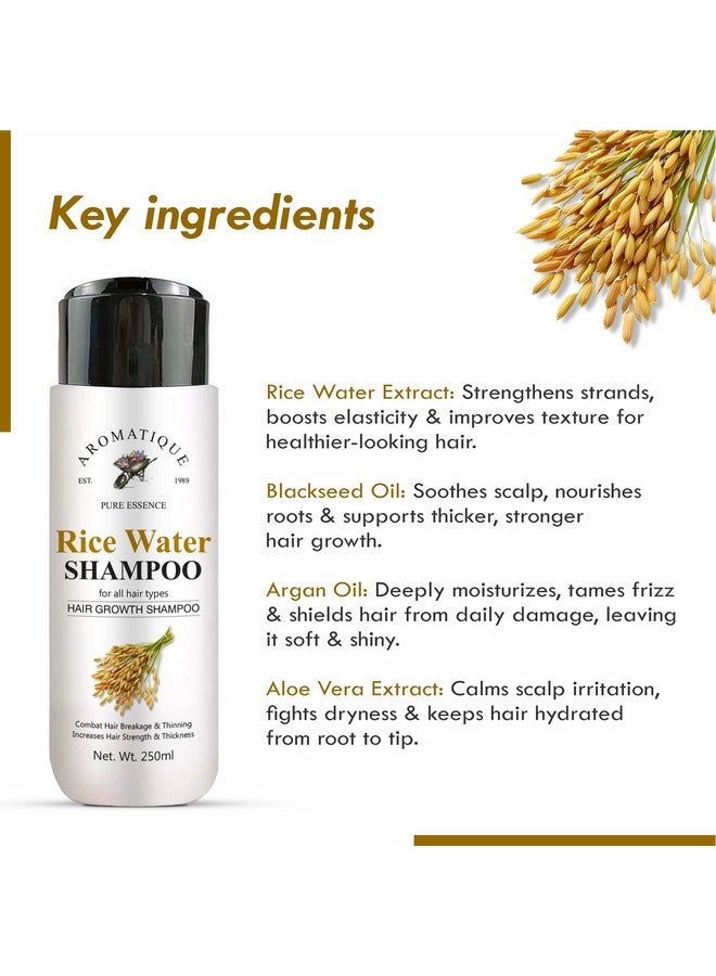 AROMATIQUE شامبو ماء الأرز العطري لنمو الشعر مع البيوتين | شامبو للشعر الخفيف وتساقط الشعر | مناسب لجميع أنواع الشعر، للرجال والنساء - Image 5