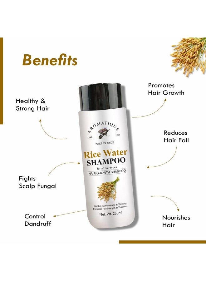AROMATIQUE شامبو ماء الأرز العطري لنمو الشعر مع البيوتين | شامبو للشعر الخفيف وتساقط الشعر | مناسب لجميع أنواع الشعر، للرجال والنساء - Image 3