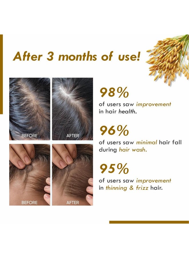 AROMATIQUE شامبو ماء الأرز العطري لنمو الشعر مع البيوتين | شامبو للشعر الخفيف وتساقط الشعر | مناسب لجميع أنواع الشعر، للرجال والنساء - Image 2