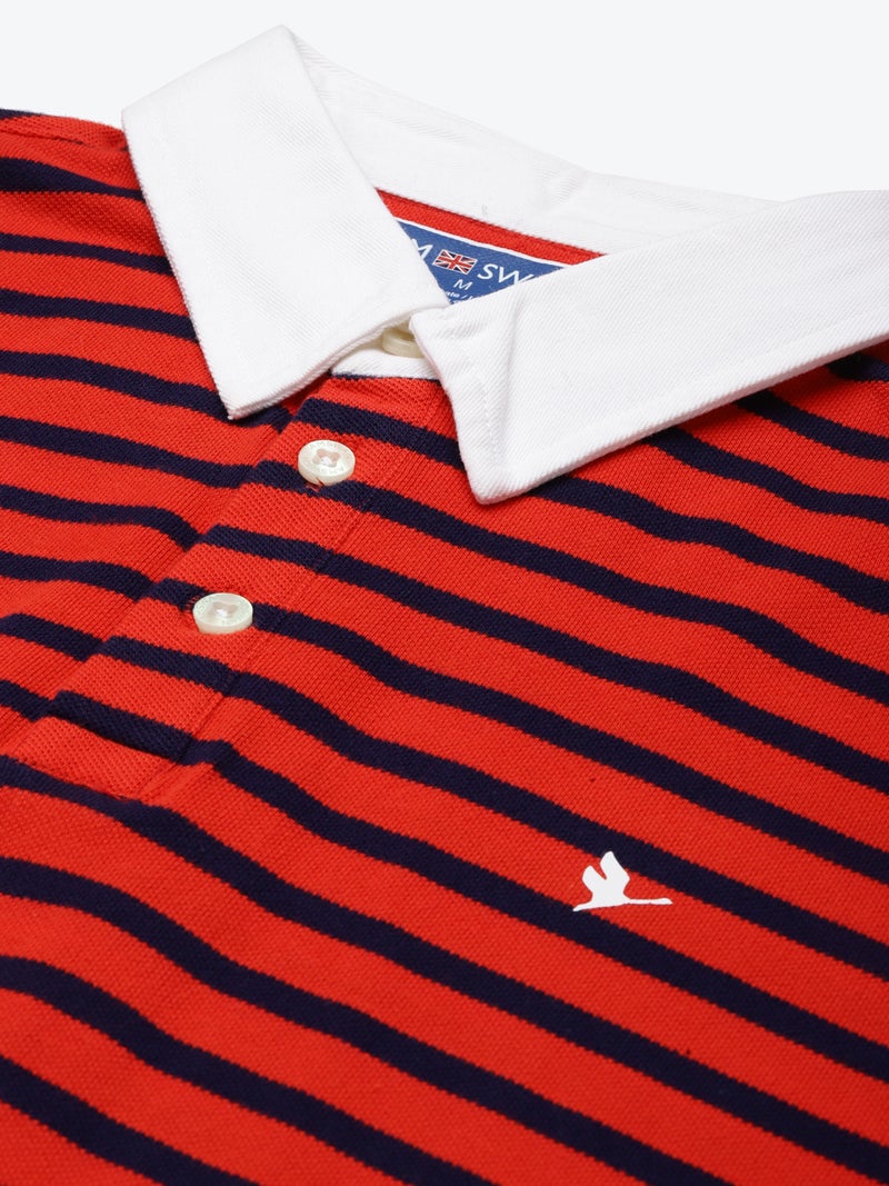 amswan PREMIUM COTTON STRIPED HALF SLEEVE COLLAR T-SHIRTS - Image 2