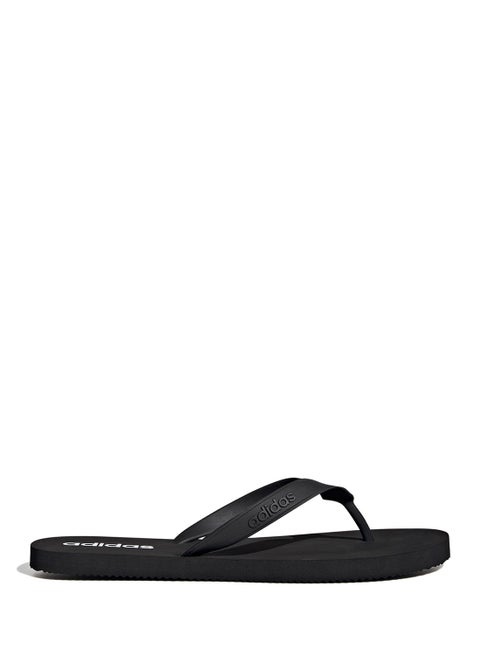 كيتاكي ألفا