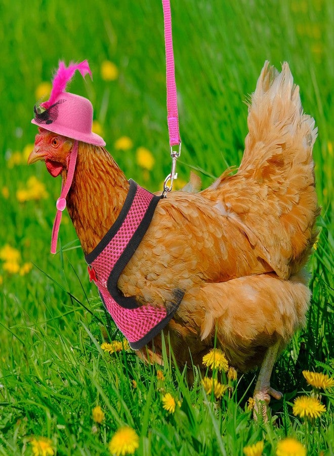 Zhanmai 9 Pcs Funny Chicken Accessories Set - Harness, Leash & Hats for Hens, Ducks, Geese & Parrots - Adjustable, Training Walking Supplies - Image 5