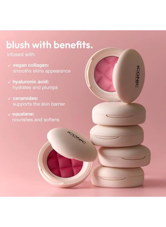 Iconic London  Blurring Blush Fridays 5 gm  | Best Price UAE