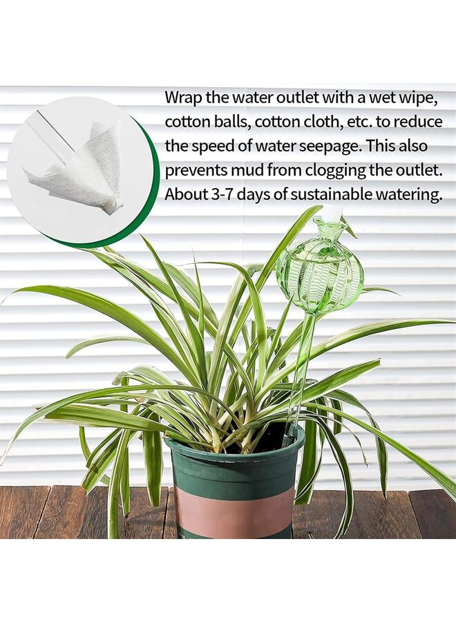 يُسلِّم ٣ قطع من كرات ري النباتات. كرات ري ذاتية. عبوة من ٣ بصيلات ري الصبار. كرات ري للنباتات. - Image 5