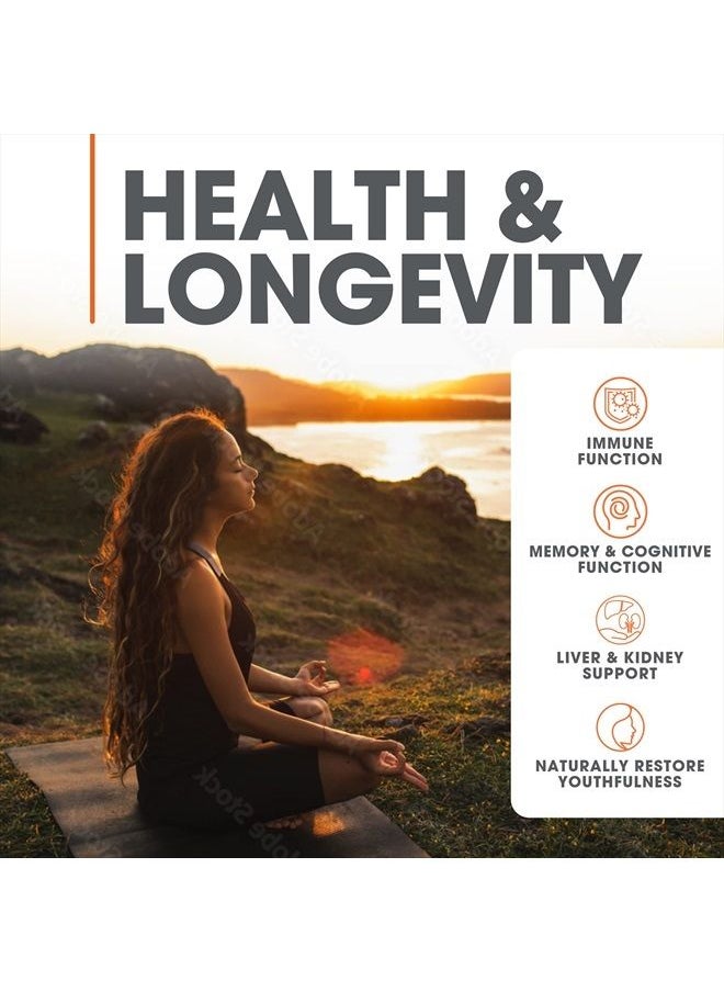 The Genius Brand - Genius Mushroom - Lions Mane, Cordyceps and Reishi - Immune System Booster & Nootropic Brain Supplement - for Natural Energy, Memory & Liver Support, 90 Veggie Pills - Image 1