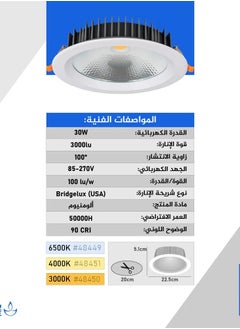 3pcs 30W COB Ceiling Spotlight - pzsku/Z70363C9EA1C95DA4724CZ/45/1741527439/abc118d7-7d17-42de-b6d7-70142576481b