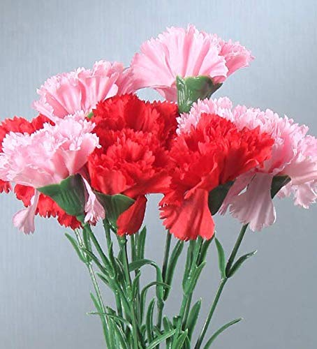 Fourwalls Four Walls Artificial Synthetic Single Carnation Flower Stick 45 cm Tall Set of 15 Red8Yellow8 Pink  - Image 2