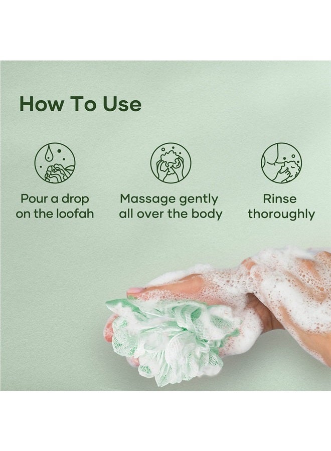 Botanic Hearth غسول الجسم بشجرة الشاي، يساعد في الأظافر، قدم الرياضي، السعفة، حكة الفخذ، حب الشباب، الإكزيما ورائحة الجسم، يهدئ الحكة ويعزز صحة الجلد والقدمين، معطر طبيعياً، 16 أونصة سائلة - Image 4