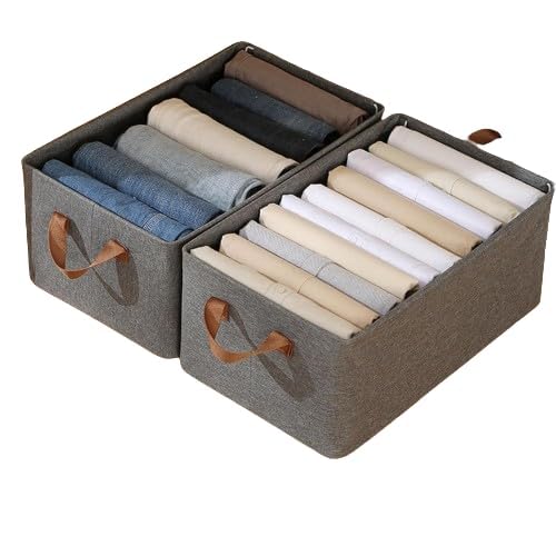 JAPTI JAPTI Wardrobe Organizer For Clothes Shirt Pant Tshirt Jeans ShelvesCollapsible Fabric Storage Cubes Organizer with Handles for Cupboard women girl home2 pcsmulticolor - Image 1