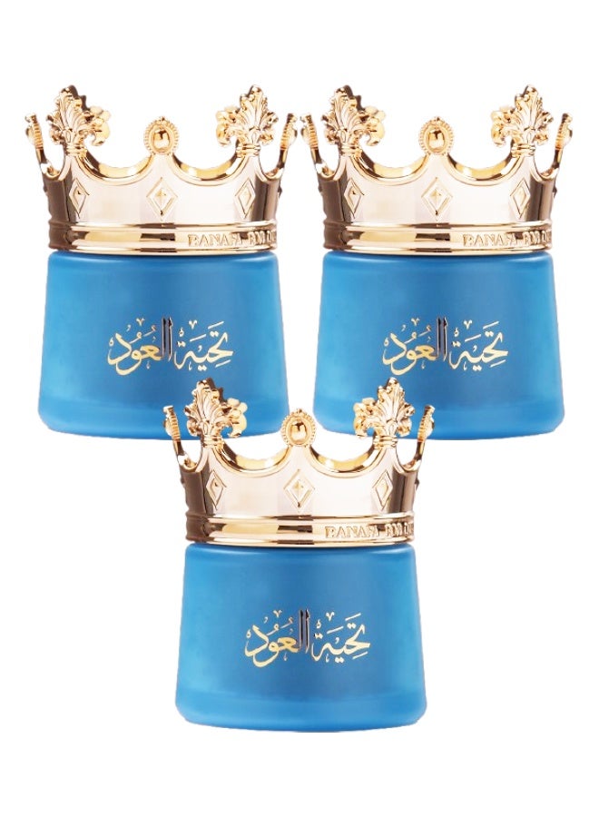 بانافع 3 قطع بخور عود معطر تحية العود 45 جرام - Image 1