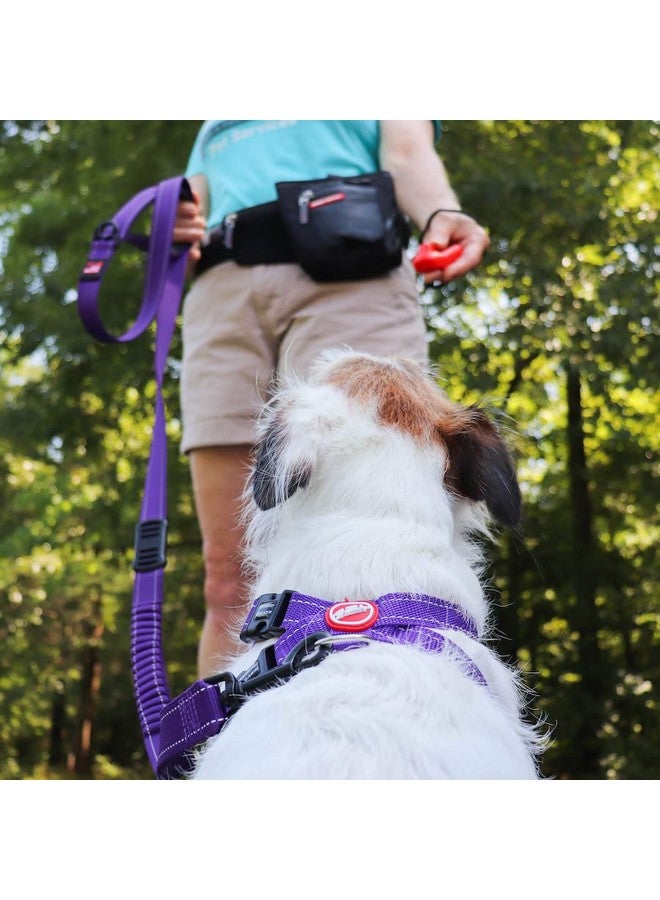 إيزي دوج أداة تدريب الكلاب المريحة EzyDog Command Clicker مع حزام معصم - نظام تركيب عالمي بدون استخدام اليدين للأصابع، تدرب بشكل فعال وإنساني مع تعزيز إيجابي (أسود) - Image 4