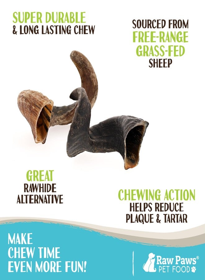 Raw Paws Lamb Horns for Dogs, Large (2-Count) - Packed in USA - Lamb Treats Dog Chew - Sheep Horns for Dogs - Dog Chew - Sheep Chews - Image 2