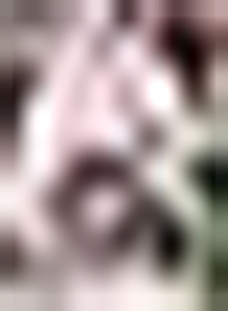 GGOOT 30pcs Pink Geranium seeds Planted in Indoor Suitable for Making Hanging Baskets Create Exquisite Home Courtyard Landscapes - Image 1