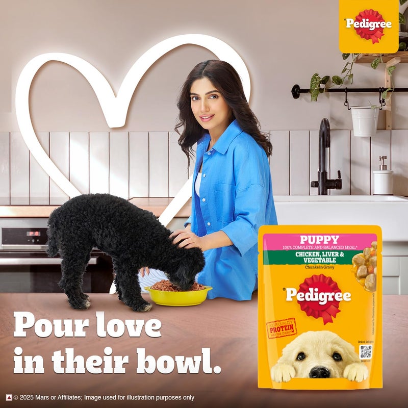 Pedigree طعام رطب للكلاب الجراء من بيدجري، نكهة قطع الدجاج والكبد في صلصة مع الخضروات، 70 جرام (عبوة من 30) - Image 4