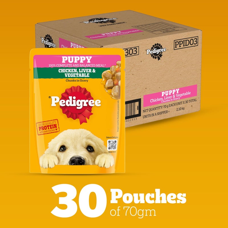 Pedigree طعام رطب للكلاب الجراء من بيدجري، نكهة قطع الدجاج والكبد في صلصة مع الخضروات، 70 جرام (عبوة من 30) - Image 2