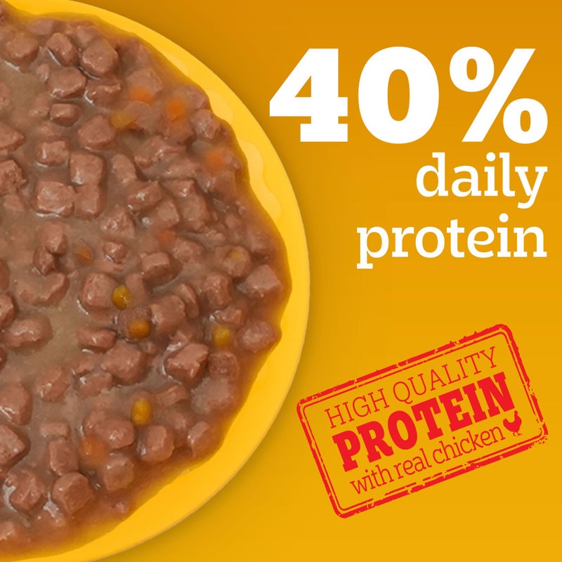 Pedigree طعام رطب للكلاب الجراء من بيدجري، نكهة قطع الدجاج والكبد في صلصة مع الخضروات، 70 جرام (عبوة من 30) - Image 5