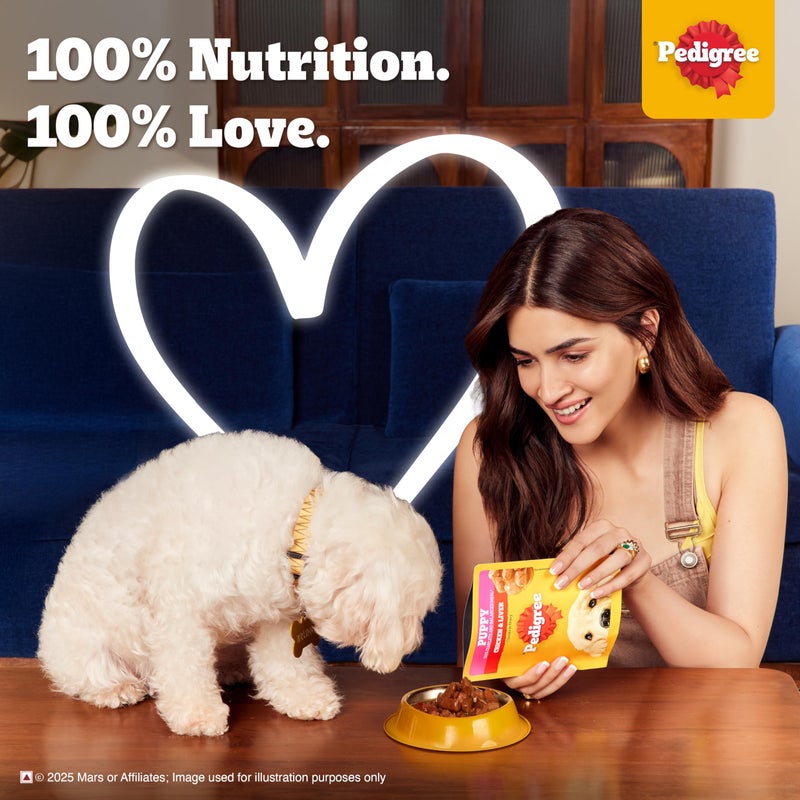 Pedigree طعام رطب للكلاب الجراء من بيدجري، نكهة قطع الدجاج والكبد في صلصة مع الخضروات، 70 جرام (عبوة من 30) - Image 3