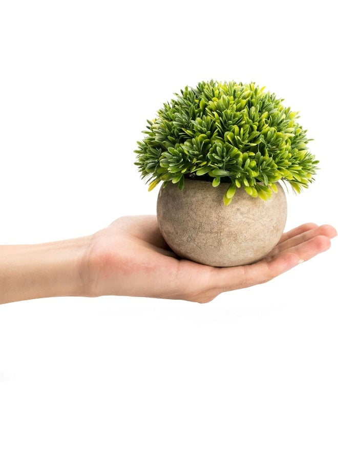 Velener Artificial Boxwood Faux Plant Indoor Topiary Small Desk Plant Decor for Bedroom Office Cubicle Shelf Decor Window Will Plant Shelf Decoration Dorm Kitchen Counter Farmhouse Home Decor Accent - Image 5