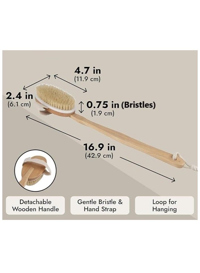إسكدنيا فرشاة خشبية للجسم بشعيرات من النايلون | مقبض طويل قابل للفصل | حزام يد لقبضة آمنة | حلقة لل | فرشاة تقشير وتدليك فعالة - Image 5