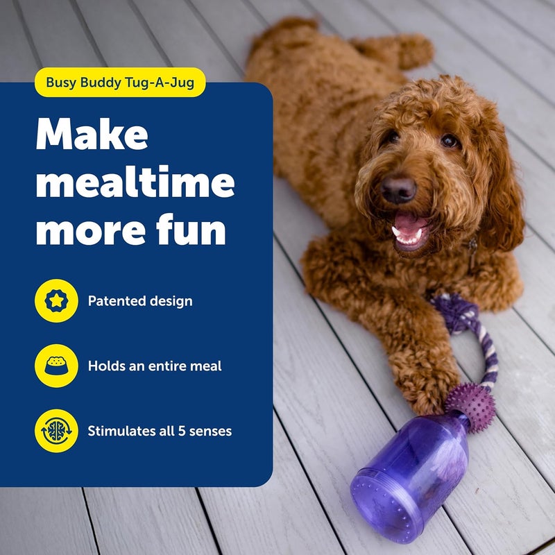 PetSafe Busy Buddy Tug-A-Jug Meal-Dispensing Dog Toy for Kibble and Treats - Image 2