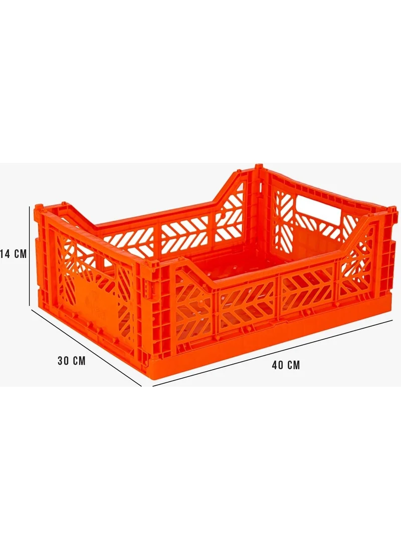 Ayyıldız Aykasa 403014 Midibox Orange Foldable Case