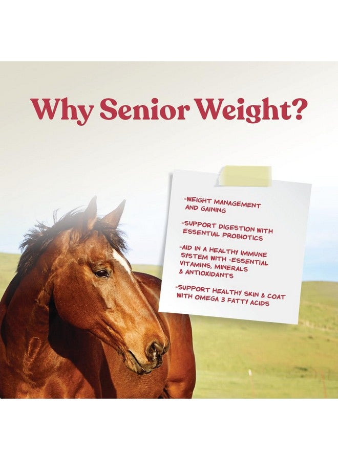 مانا برو مُسرِّع الوزن للخيول المسنة | مصنوع من أحماض أوميجا 3 الدهنية من بذور الكتان | 8 أرطال - Image 4