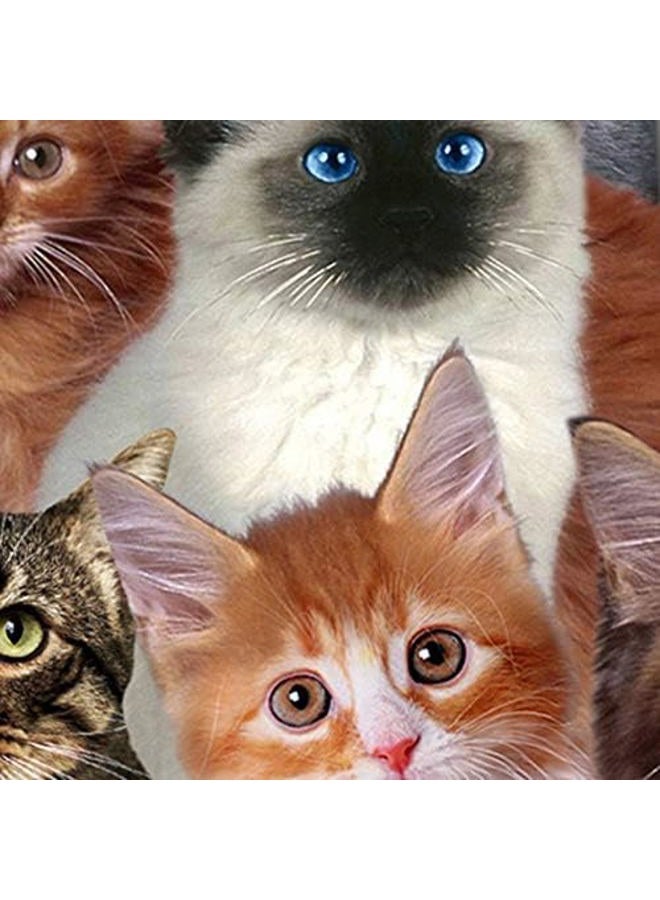 Three Rooker Cat Ties Mens Kitty Kat Meow Kitten Necktie - Image 3