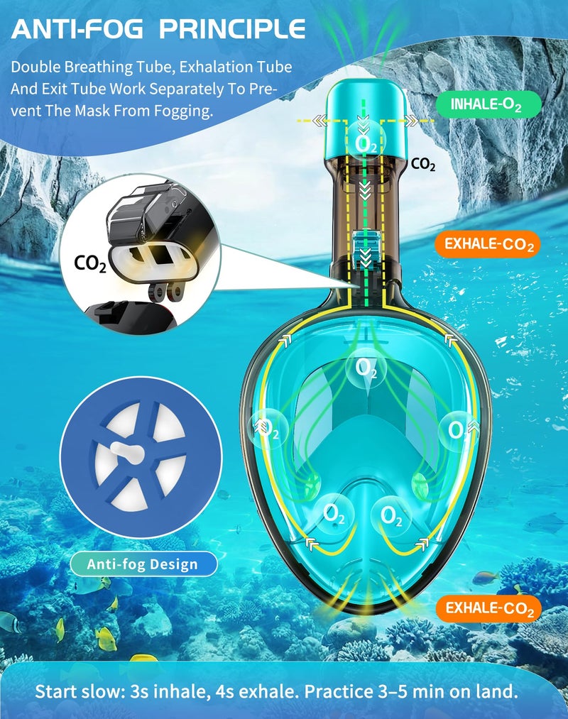 Greatever Full Face Snorkel Mask, Snorkeling Gear for Adults Kids with Latest Dry Top Breathing System and Detachable Camera Mount, Foldable Panoramic View Snorkeling Mask Set, Anti-Fog & Anti-Leak - Image 4