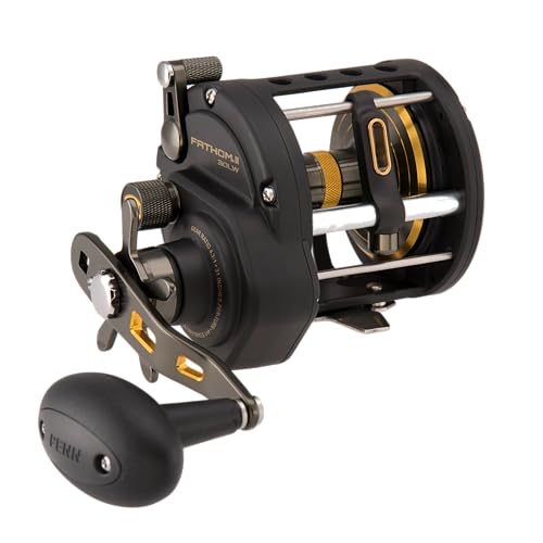 Penn Fishing FTHII30LW Spinning Rod Reel Combos Black Gold 1481311 - Image 1