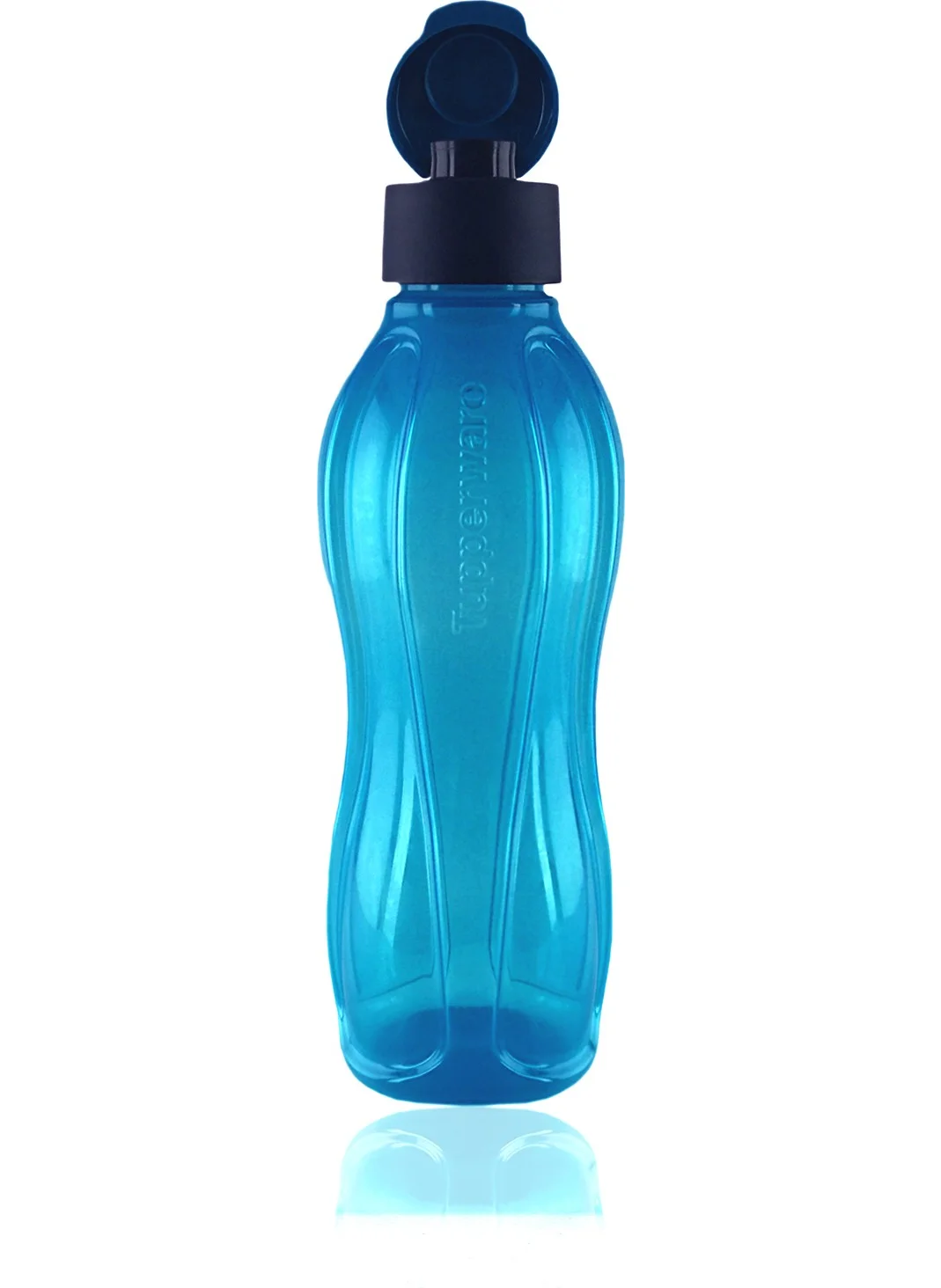 تابروير Eco Bottle 750 Ml Blue And 750 Ml Coral