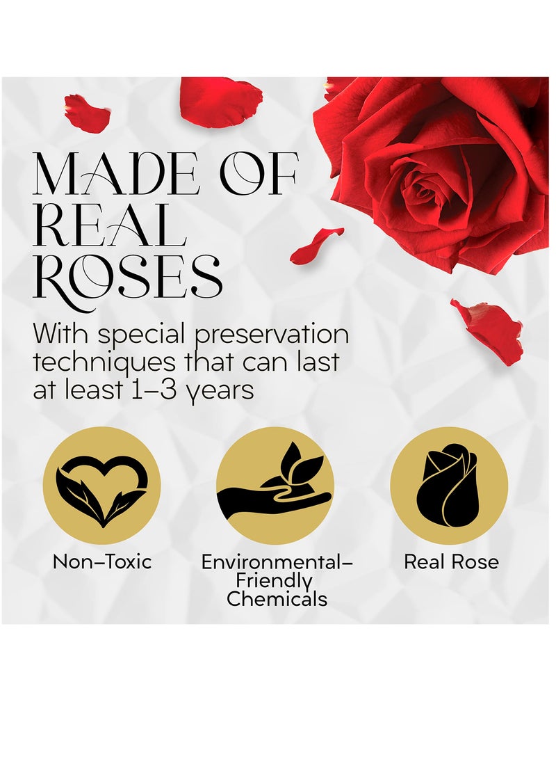 Excefore 7 Pcs Preserved Red Roses in Round Box Real Roses that Last a Year - Image 2