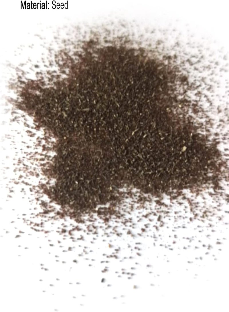 GGOOT 150Pcs Mushroom Seeds Delicious Fragrant Productive Natural Garden Seeds Growing Kit for Women, Kids, Beginners, Gardeners Gift - Mushroom Seeds - Image 2