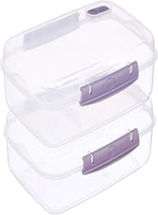 max plast Max plast Plastic Food Container with Lid, 44 Ounce (Pack of 2) - Multi Color