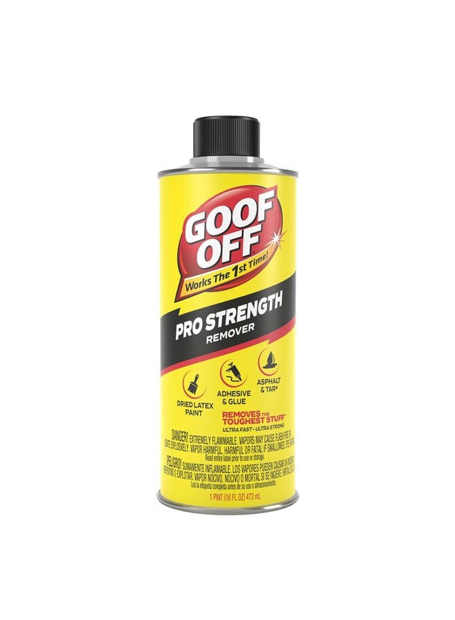 GOOF OFF FG653 مزيل القوة الاحترافي، قابل للسكب، 16 أونصة، سائل - Image 1