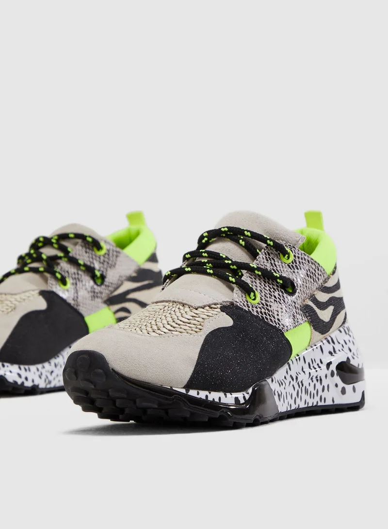 STEVE MADDEN Cliff Low Top Sneaker