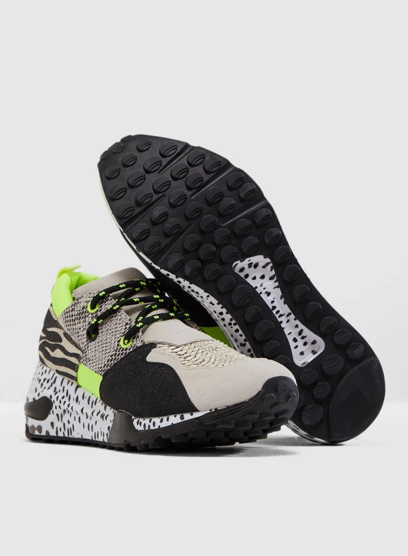 STEVE MADDEN Cliff Low Top Sneaker